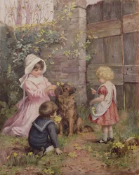 Der Geburtstag des Collies